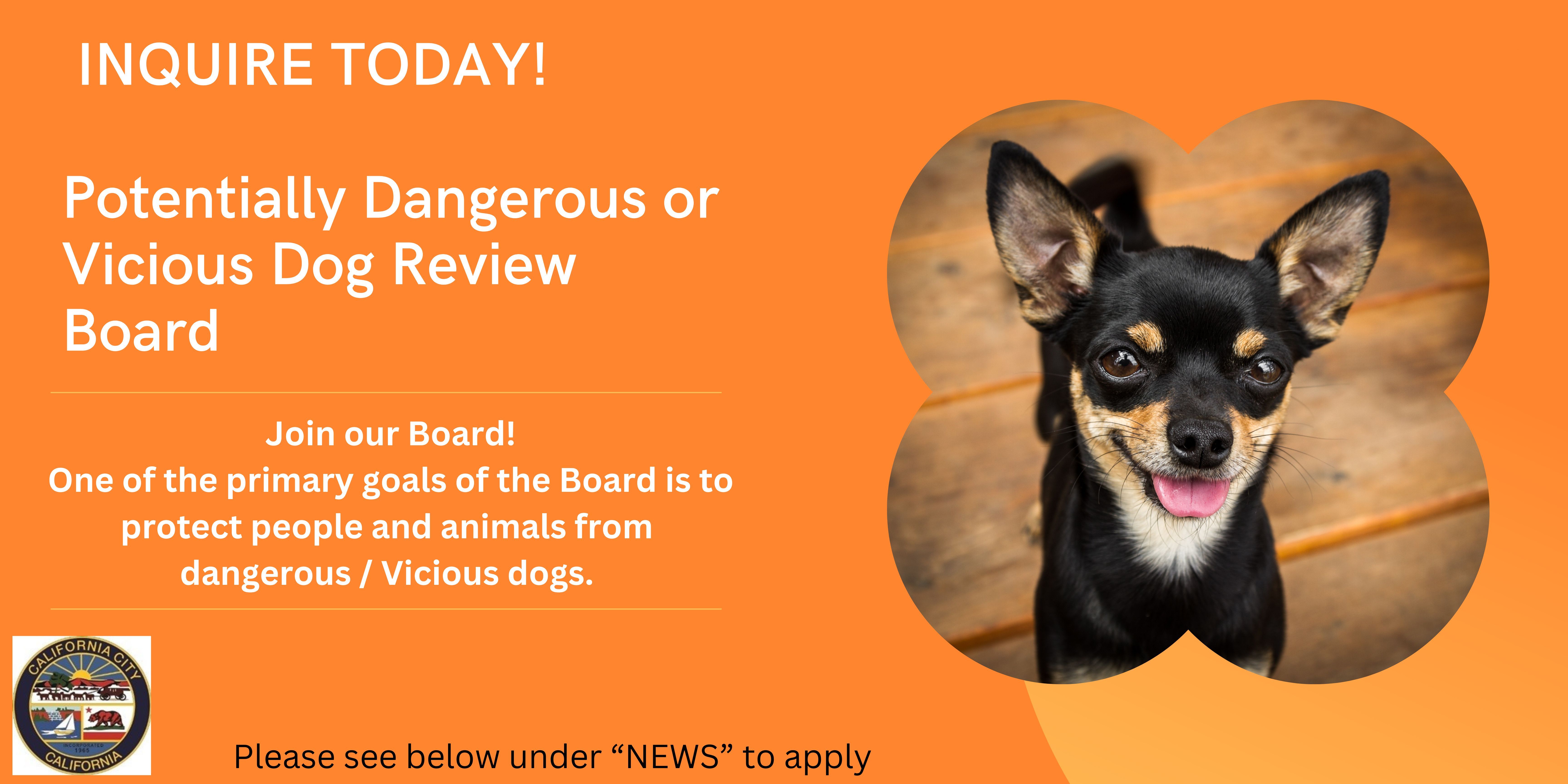  Vicious Dog Review Banner